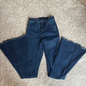 Three Bird Nest Blue Flare Wide Leg Jeans